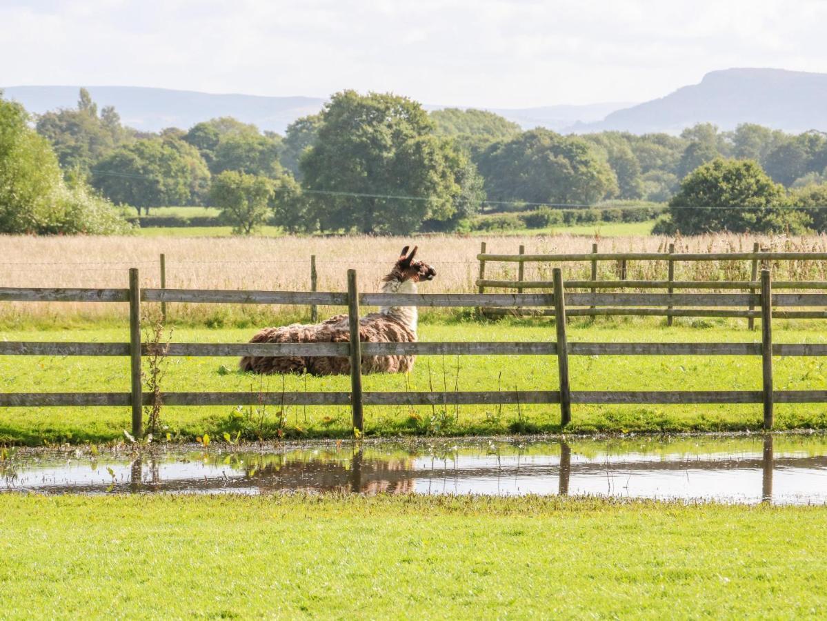 Vila Chequer Stable Brereton Exteriér fotografie
